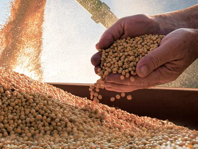 Produção de grãos no Brasil tem queda de 8% em relação ao ciclo anterior