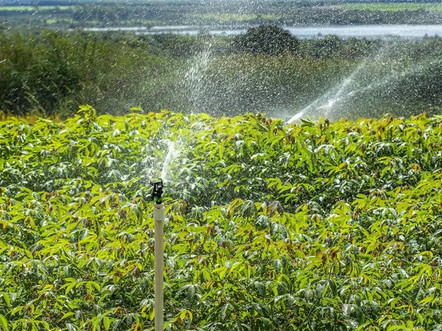 A agricultura irrigada no contexto dos Objetivos de Desenvolvimento Sustentável