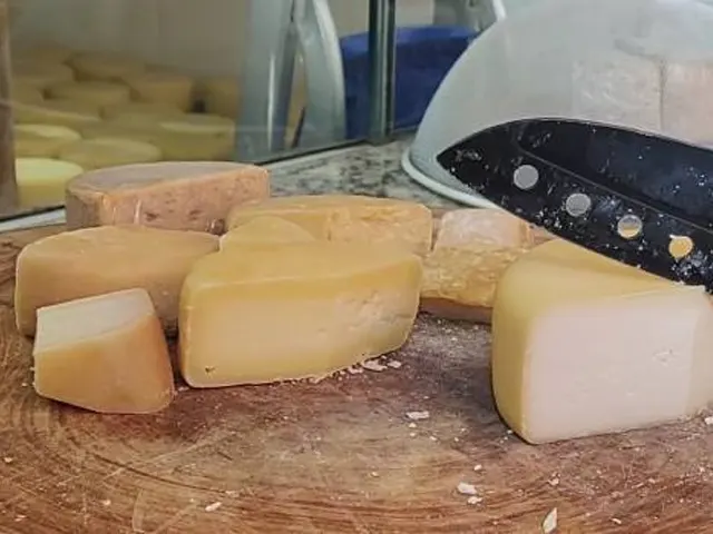 Queijoteca busca preservar especificidades e sabores dos queijos artesanais mineiros