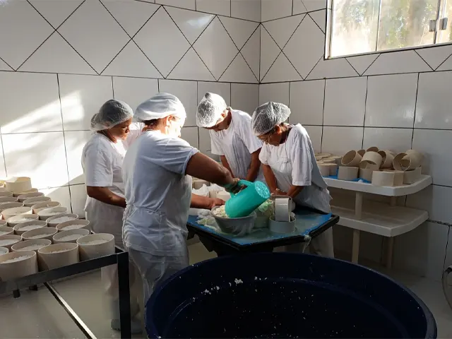 IMA orienta sobre legalização de alimentos de origem animal