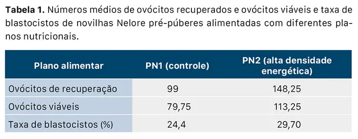 Dieta de alta energia aumenta, em mais de 20%, a produção de embriões bovinos