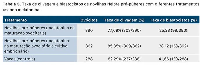 Dieta de alta energia aumenta, em mais de 20%, a produção de embriões bovinos
