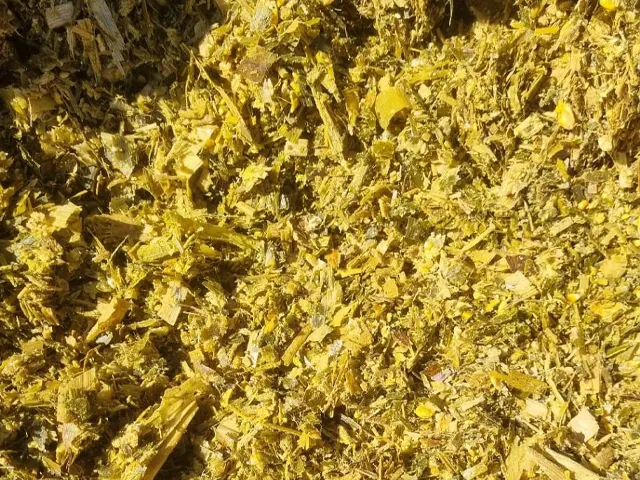 Volumoso de qualidade exige cuidados da colheita da planta ao armazenamento