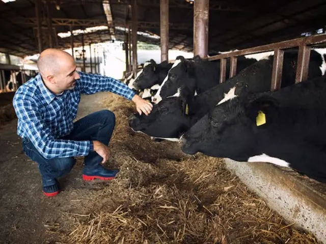 Instalações limpas e controle de pragas impactam positivamente a produtividade dos bovinos