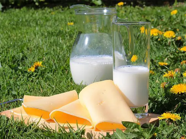 Leite/Cepea: Após cair por nove meses, preço do leite reage no início de 2026