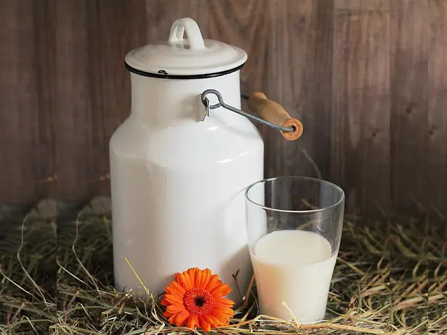 Alimento faz cair custo de produção de leite em maio
