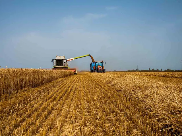 Pós-colheita exige planejamento e cercamento eficiente para garantir produtividade na próxima safra