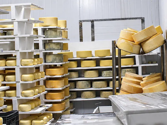 Produção de leite cresce no RS, mas importações pressionam pequenas indústrias