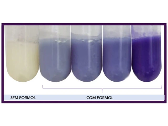 Formfix Teste Rápido de Formol no Leite 50ml
