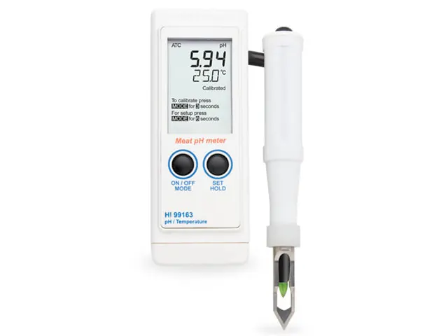 Medidor de pH para Carne HI99163