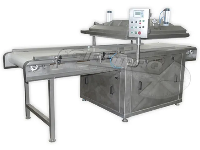 Seladora a Vácuo Vacuum Packer