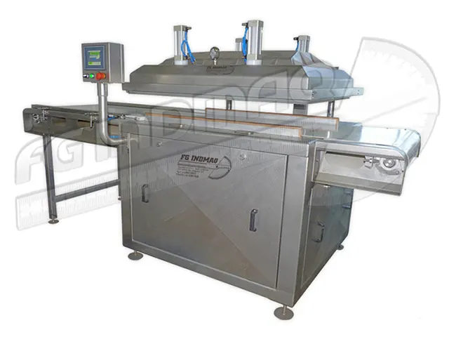 Seladora a Vácuo Vacuum Packer