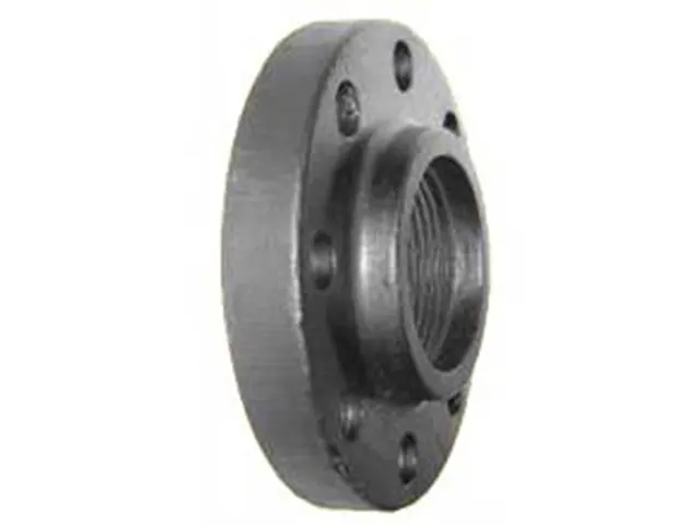 Flange tipo Roscada WCB NPT Bermo