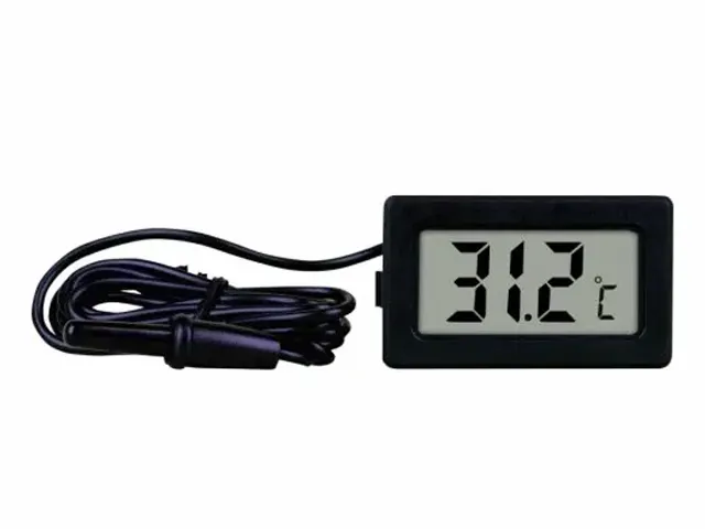 Indicador de Temperatura FTECH-10