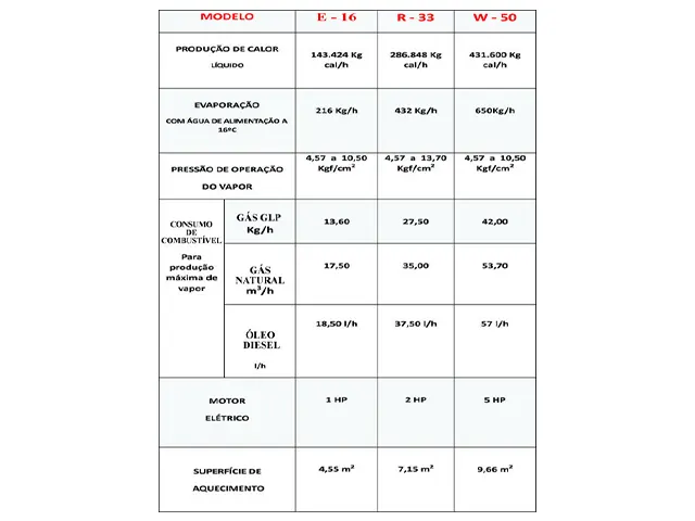 Gerador de Vapor Instantâneo a Biodiesel R-33