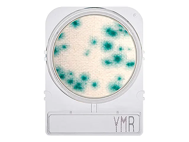 Placa Pronta para Análise Microbiológica Compact Dry YMR Bolores e Leveduras Método Rápido