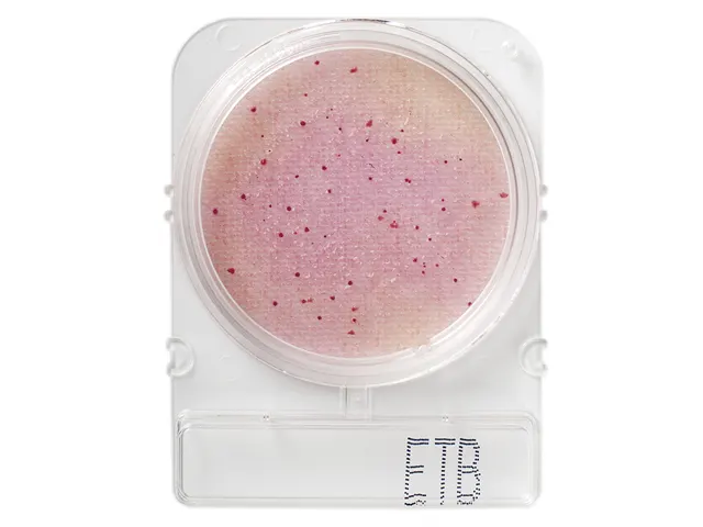 Placa Pronta para Análise Microbiológica Compact Dry ETB Enterobactérias