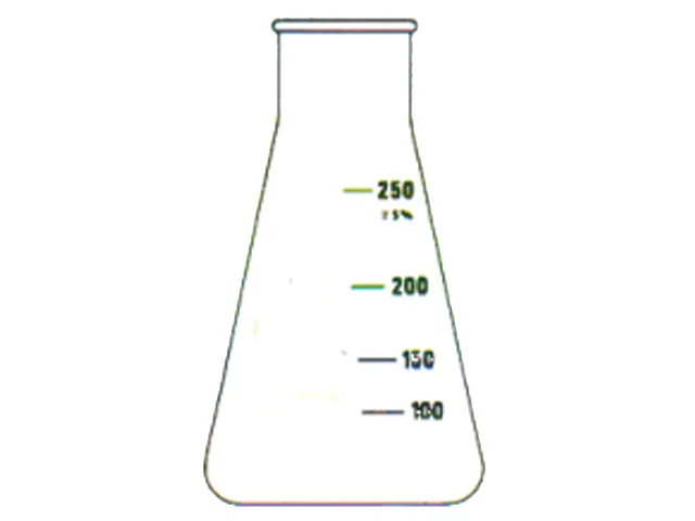 Erlenmeyer Graduado Boca Larga 125ml