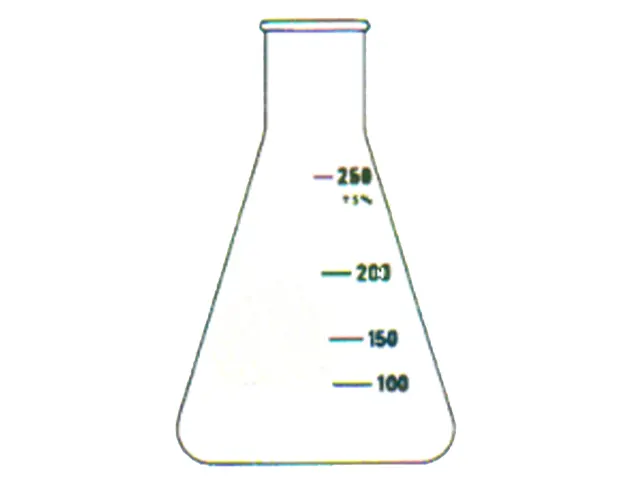 Erlenmeyer Graduado Boca Estreita 25ml