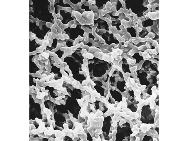 Membrana Filtrante MF-Millipore HAWG0470 – 0.45 µm 47mm