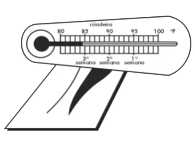 Termômetro Criadeira