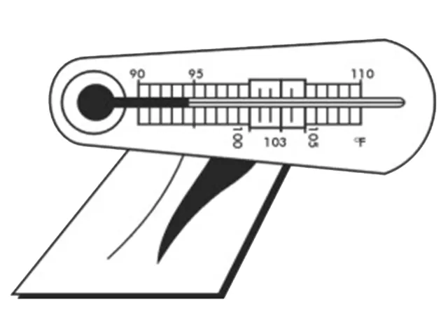 Termômetro Incubação