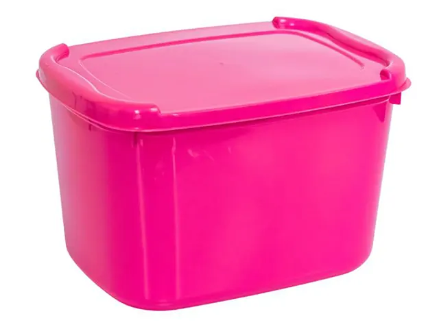 Pote Retangular 2 L
