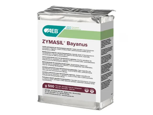 Levedura para Produção de Vinho ZYMASIL Bayanus 10Kg
