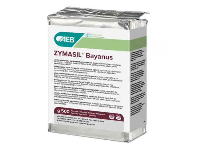 Levedura para Produção de Cidra ZYMASIL Bayanus 10Kg