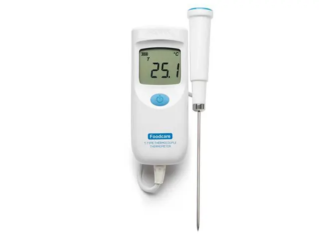 Termômetro Foodcare Termopar Tipo T com Sonda Fixa HI935008