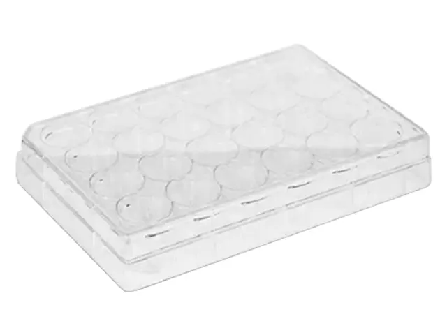 Placa para Cultivo de Células e Tecidos Estéril Fundo Chato 24 Poços Netlab