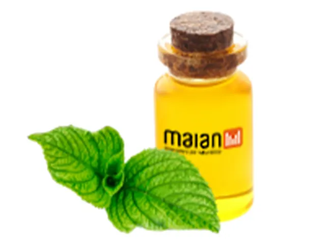 Óleo Vegetal Multifuncional Veg Oil Blend I para Cosméticos