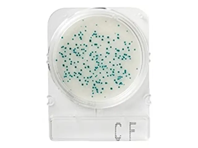 Compact Dry Coliformes Totais CF 100 Testes