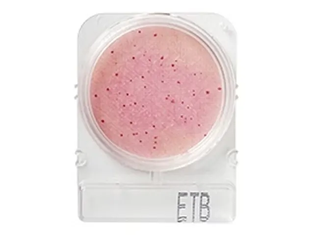 Compact Dry Enterobactérias ETB 100 Testes