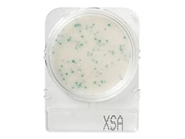 Compact Dry Staphylococcus Aureus X-SA 100 Testes