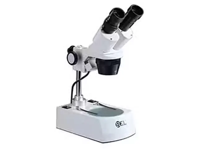 Microscópio Estéreoscópio Binocular Objetiva 2X/4X Aumento 20X e 40X EL224–BEL