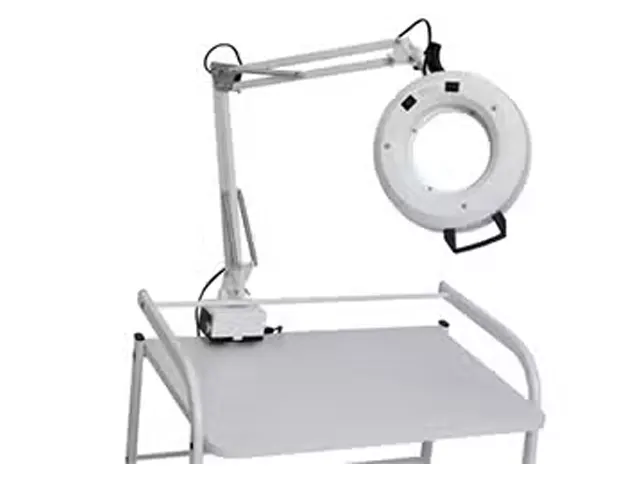 Lente de Aumento de Mesa com Haste Flexível Lâmpada de LED 381/110