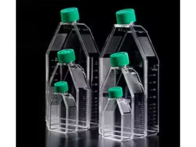 Frasco para Cultivo de Células 50ml Tampa sem Filtro