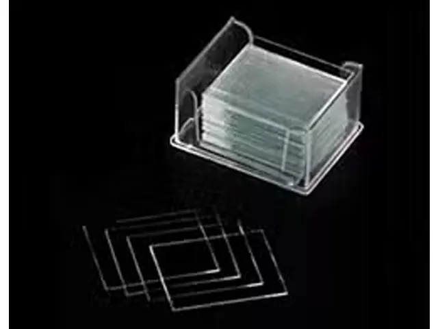 Lâminula de Vidro para Câmara de Neubauer 20x26mm 50 Unidades