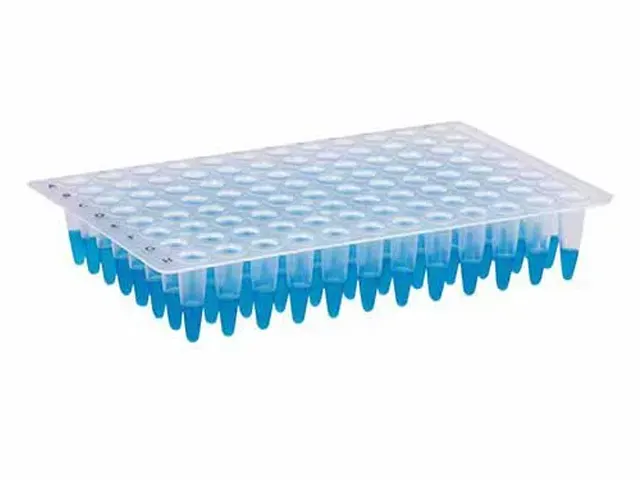 Microplaca de PCR sem Bordas 96 Poços 25 Unidades Netlab