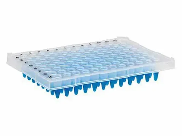 Microplaca de PCR Meia Borda 96 Poços 25 Unidades Netlab