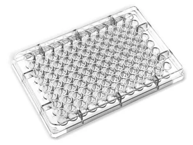 Microplaca de Microtitulação Elisa Estéril Fundo Chato 96 Poços Netlab