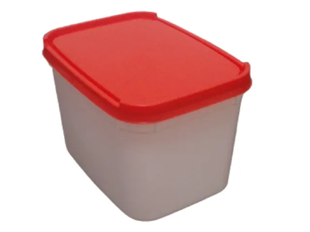 Pote para Sorvete 2L