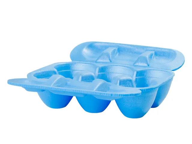 Estojo Porta-Ovos Azul Aberto para 6 Unidades POA-006