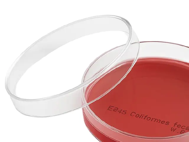 Placa Petri com Meio de Cultura Ágar DRBC Dichloran Rose Bengal Chloramphenicol