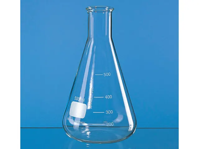 Erlenmeyer Boca Estreita Graduado Brand 50ml