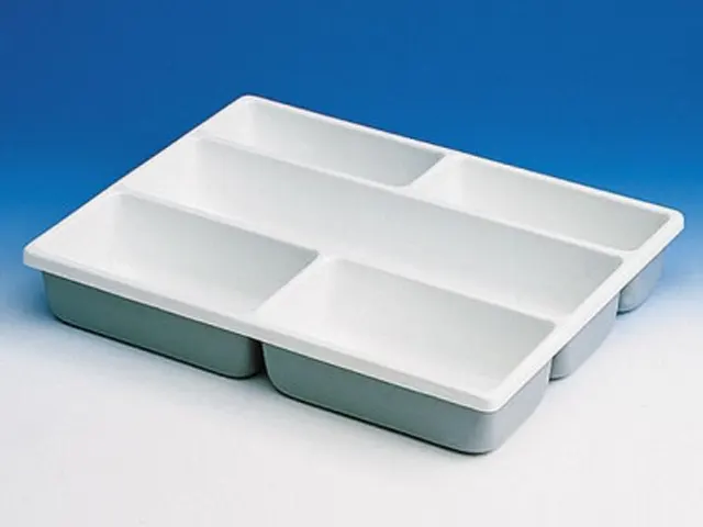 Bandeja Organizadora em PCV 5 Compartimentos 402x302x60 mm Brand