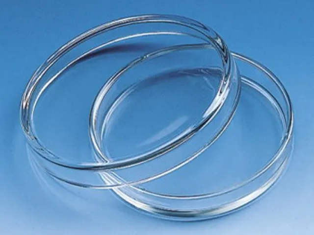 Placa Petri em Vidro 100x15mm Brand