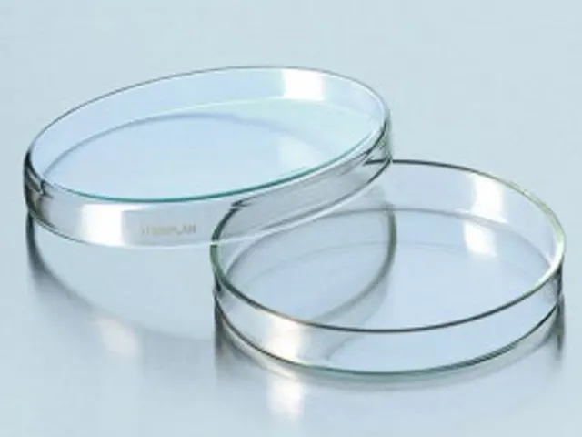 Placa Petri em Vidro 100x15mm