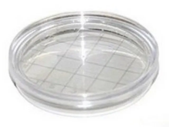 Placa de Petri em PS Estéril 60x10 mm Rodac
